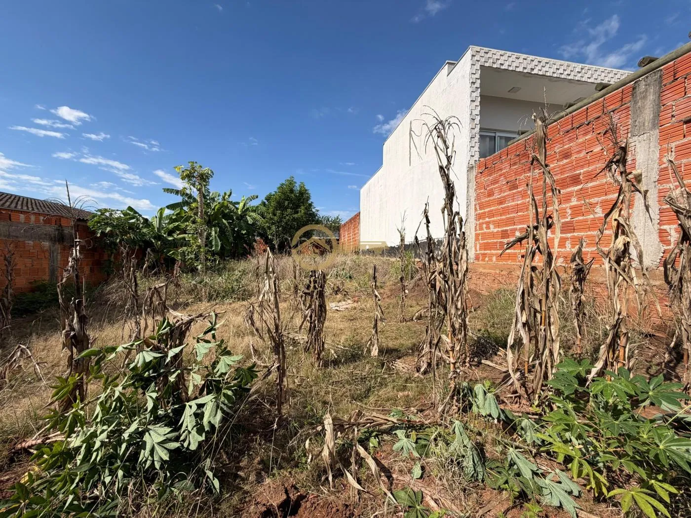 Terreno Amplo à Venda no Jardim Planalto - Oportunidade! — foto 5