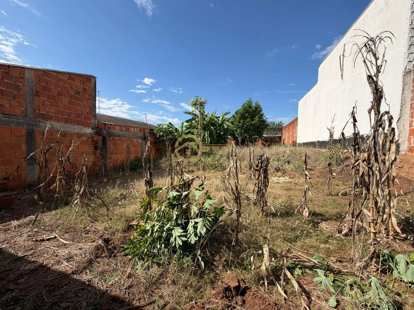 Terreno Amplo à Venda no Jardim Planalto - Oportunidade! — foto 6